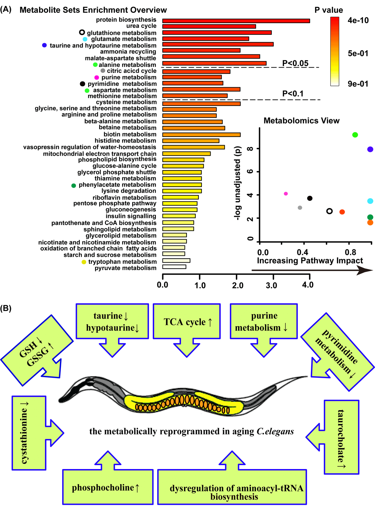 Metabolomic Signature Associated With Reproduction Regulated Aging In