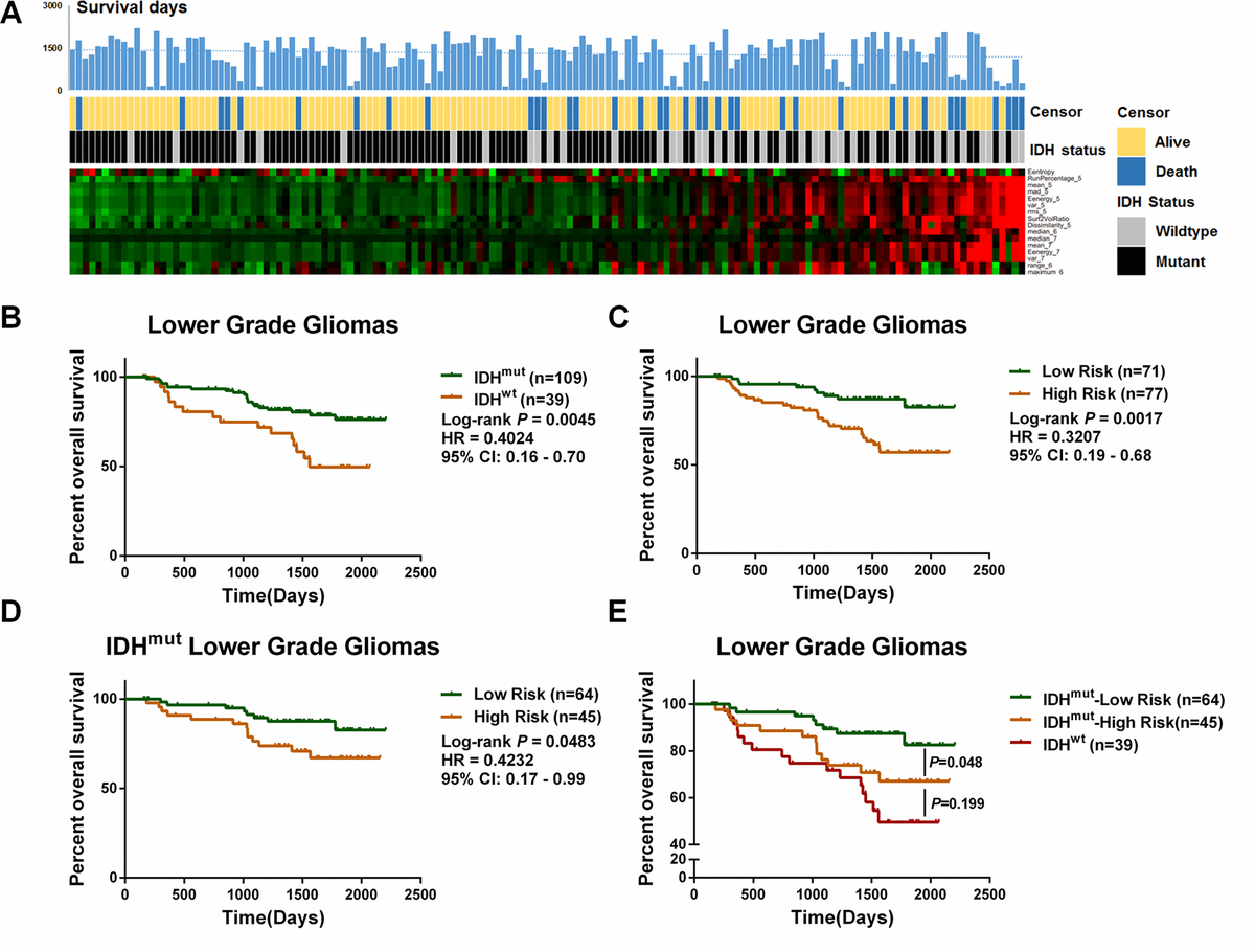 IDH Mutation Specific Radiomic Signature In Lower Grade Gliomas