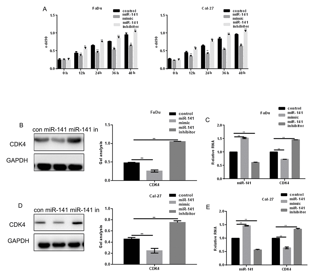 Microrna Suppresses Growth And Metastatic Potential Of Head And