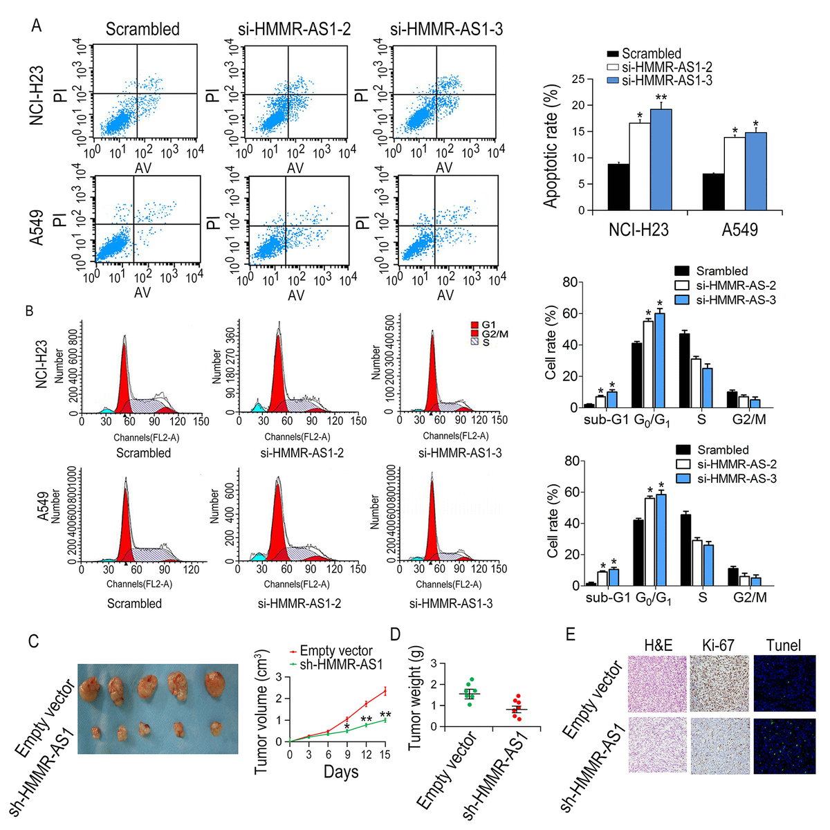 LncRNA HMMR AS1 Promotes Proliferation And Metastasis Of Lung