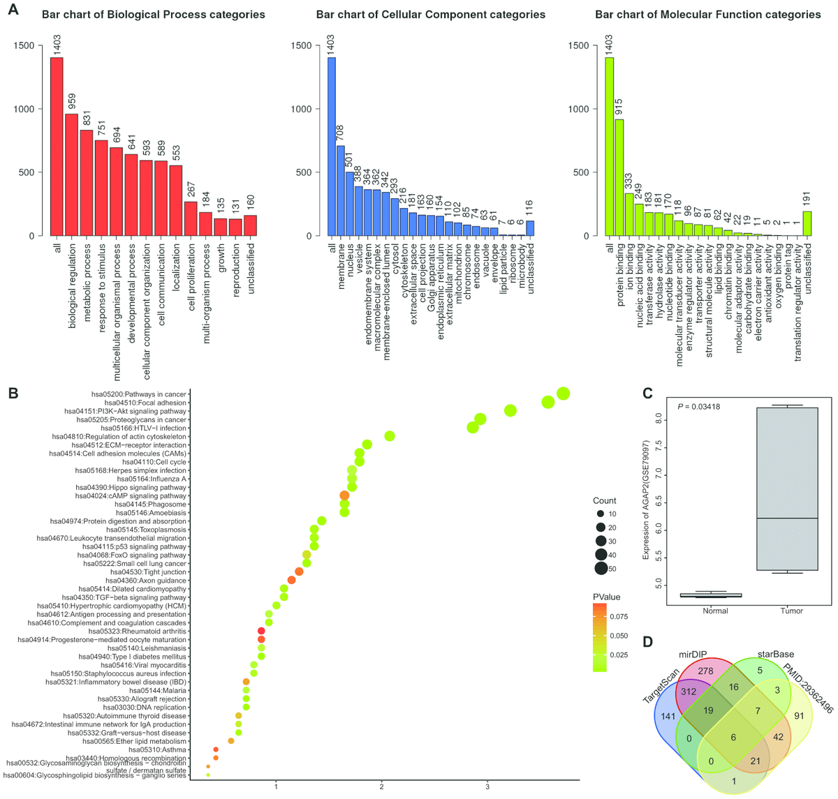 Exosomes Derived From Microrna A Overexpressing Mesenchymal Stem