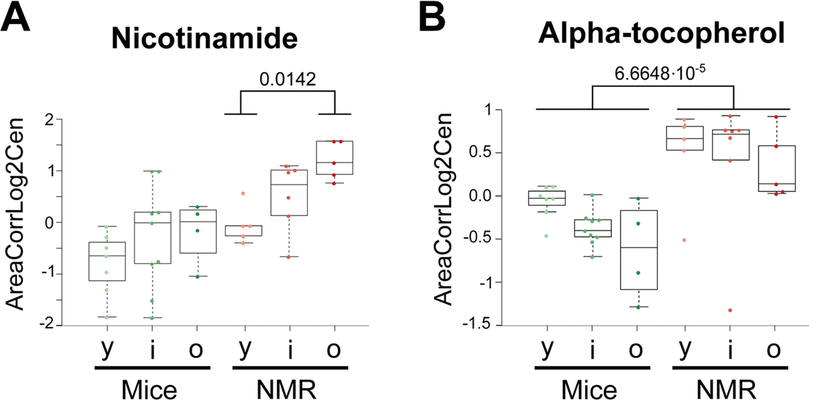 The Metabolomic Signature Of Extreme Longevity Naked Mole Rats Versus