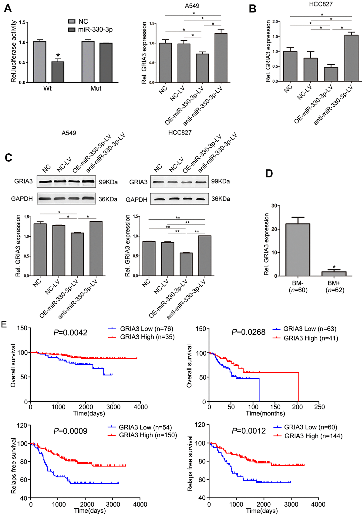 MicroRNA 330 3p Promotes Brain Metastasis And Epithelial Mesenchymal