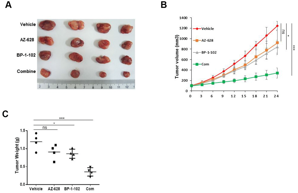 Stat Inhibitor Sensitized Kras Mutant Lung Cancers To Raf Inhibitor By