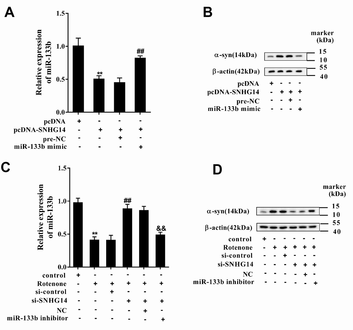 Dopaminergic Neuron Injury In Parkinsons Disease Is Mitigated By