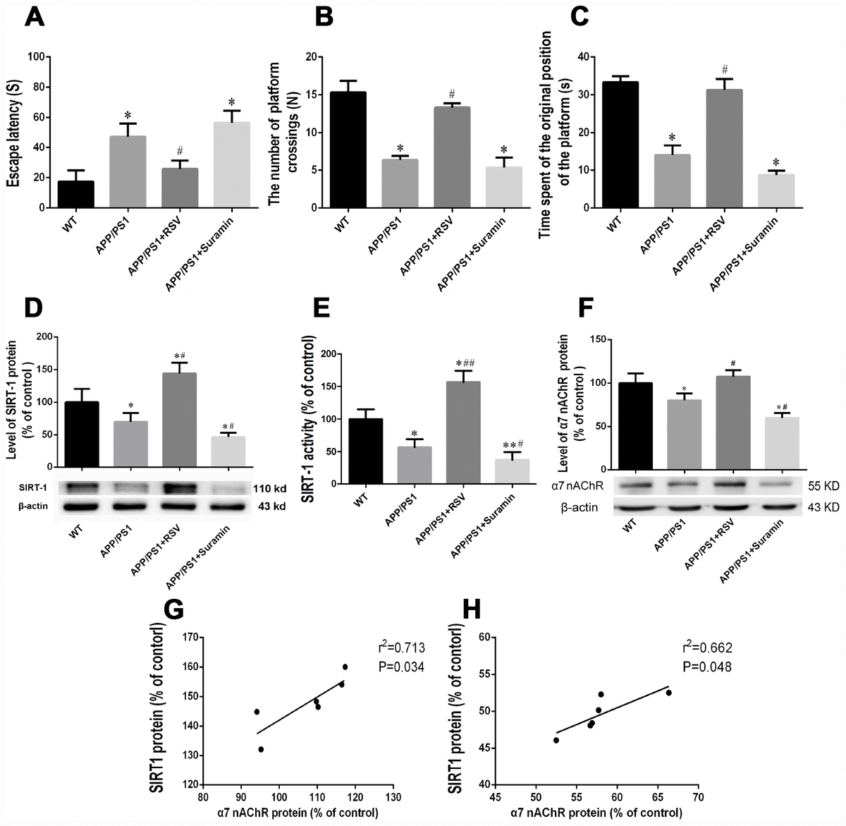 The Neuroprotective Effects Of Sirt In Mice Carrying The App Ps