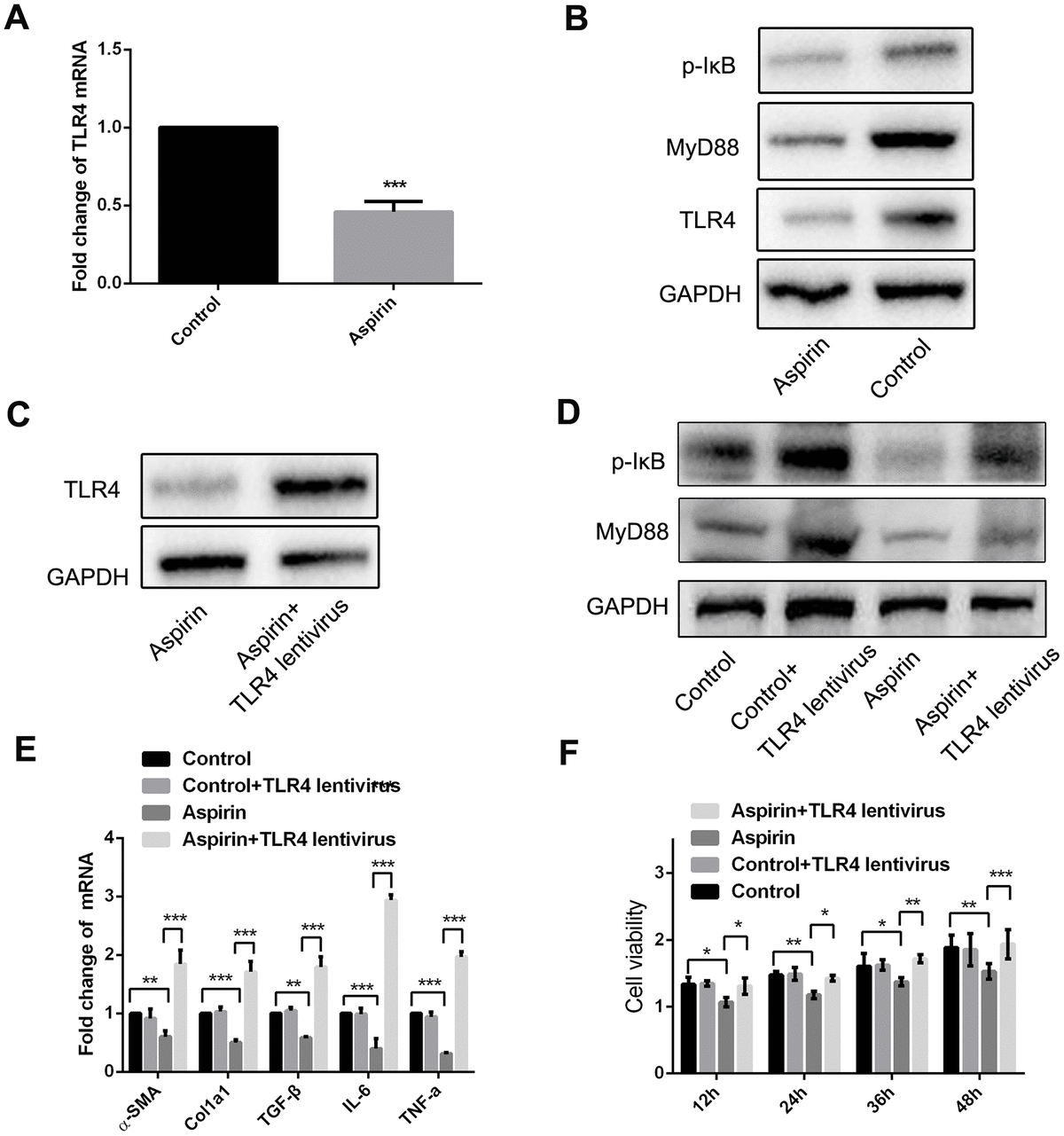 Aspirin Alleviates Hepatic Fibrosis By Suppressing Hepatic Stellate