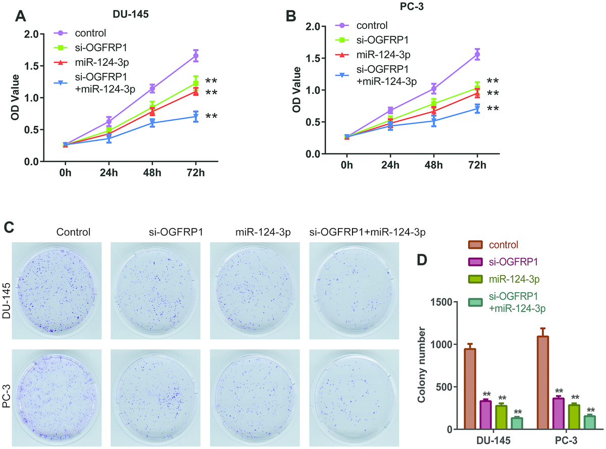 LncRNA OGFRP1 Functions As A CeRNA To Promote The Progression Of