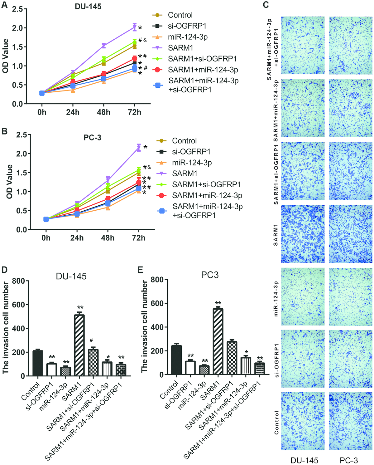 LncRNA OGFRP1 Functions As A CeRNA To Promote The Progression Of