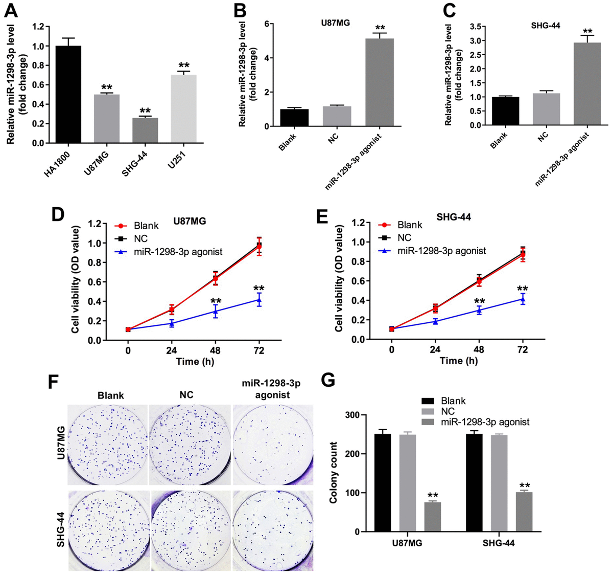 Microrna P Inhibits Proliferation And Invasion Of Glioma Cells By