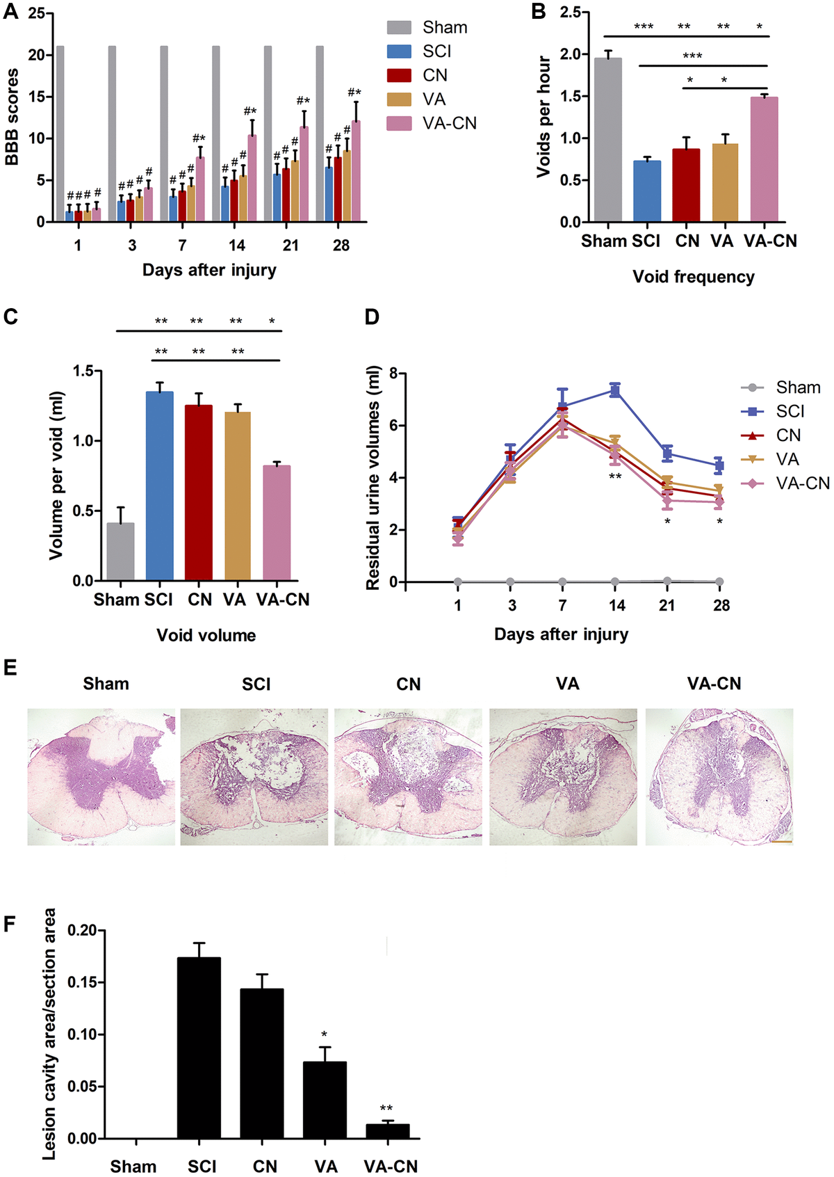 Valproic Acid Labeled Chitosan Nanoparticles Promote Recovery Of