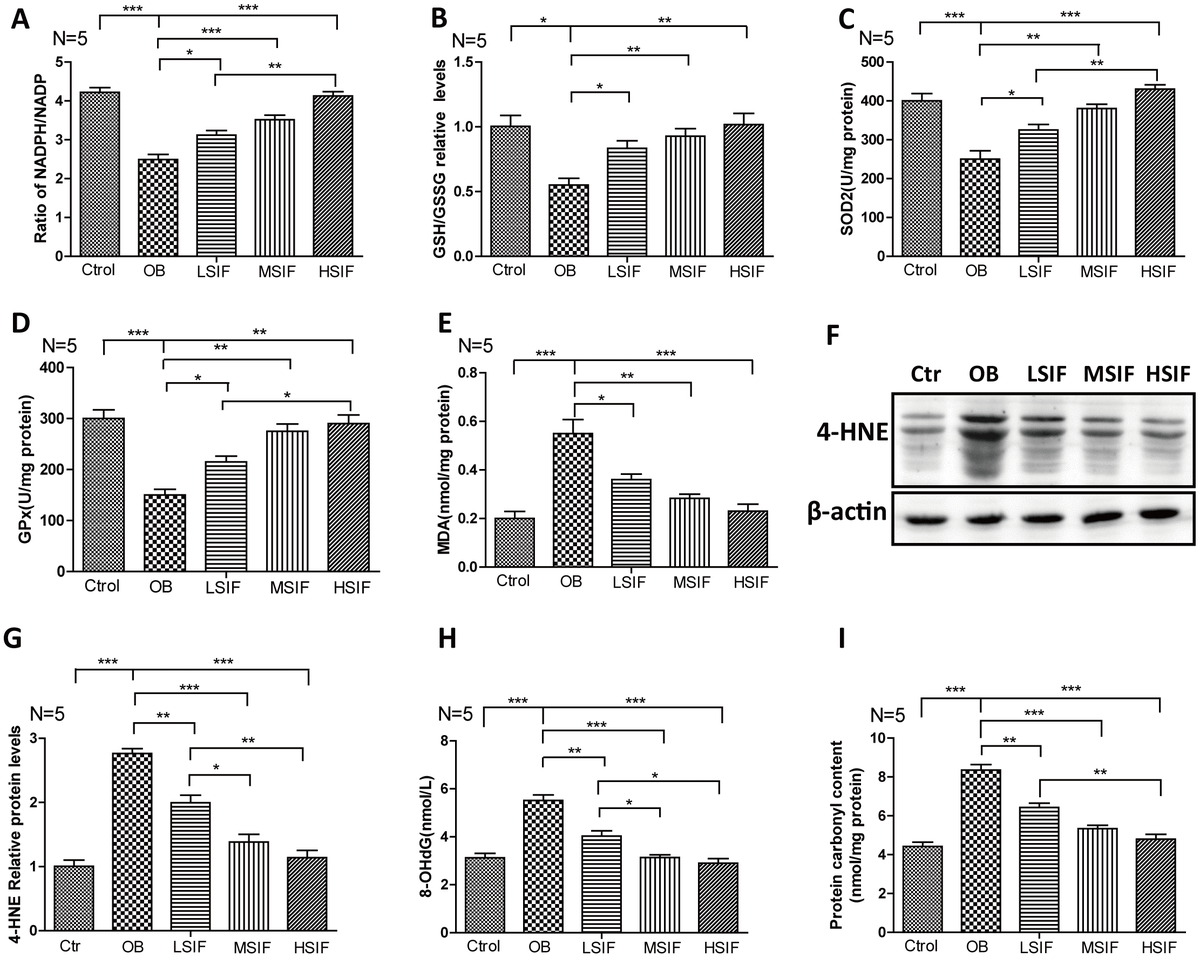 Soy Isoflavones Improve The Oxidative Stress Induced Hypothalamic