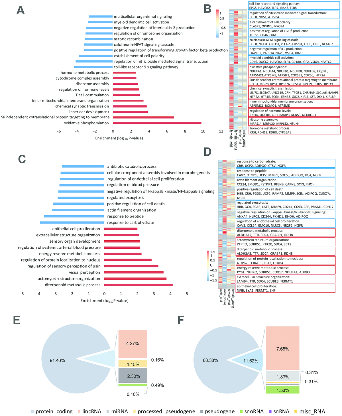 Transcriptomic Analysis Reveals Gender Differences In Gene Expression