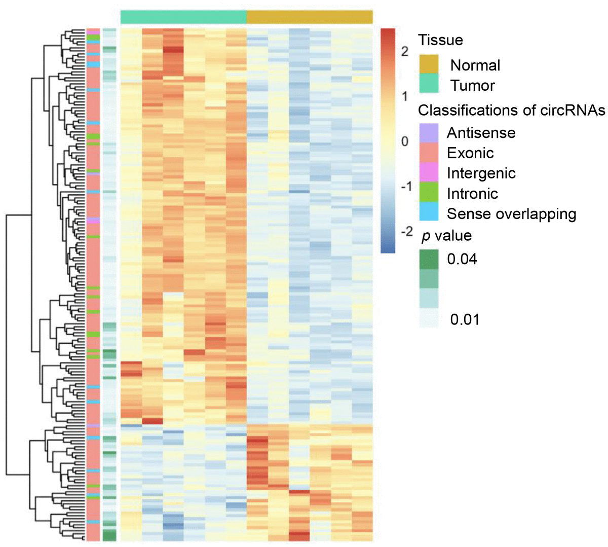 Comprehensive Circular Rna Expression Profiling Constructs A Cerna