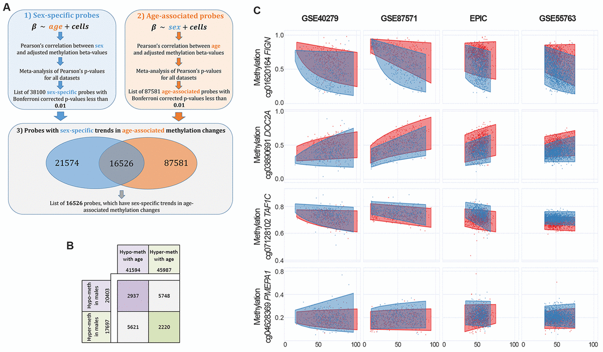 Age Related Dna Methylation Changes Are Sex Specific A Comprehensive