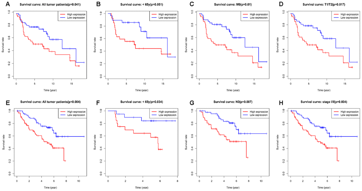 High Expression Of RRM2 As An Independent Predictive Factor Of Poor