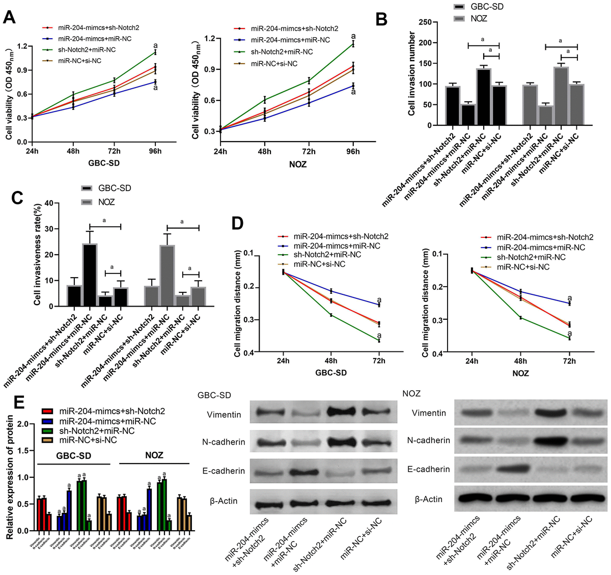 Up Regulation Of MiR 204 Inhibits Proliferation Invasion And Apoptosis