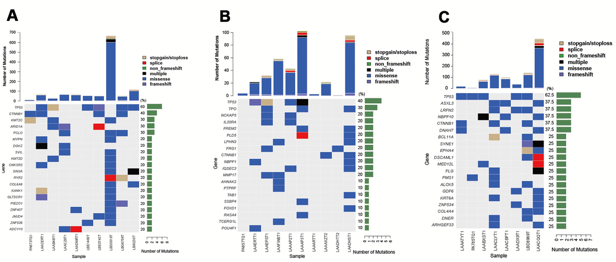 Combined Identification Of Arid A Csmd And Senp As Effective