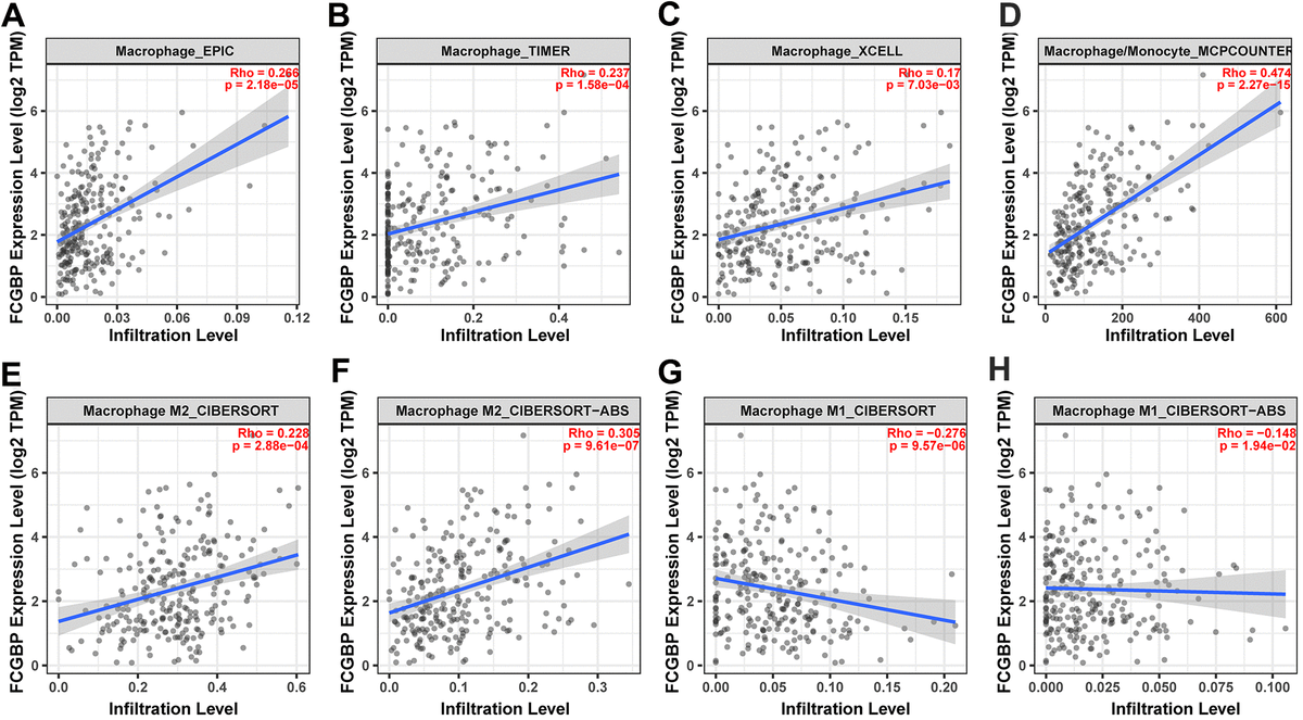 A Bioinformatic Analysis The Overexpression And Clinical Significance