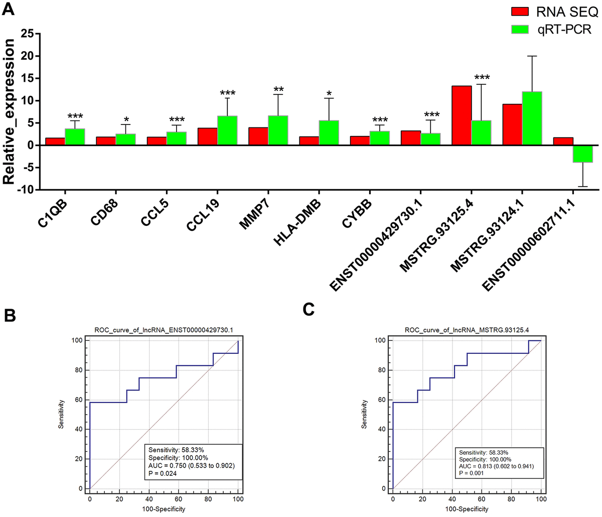 Long Non Coding Rnas Enst And Mstrg Are Associated