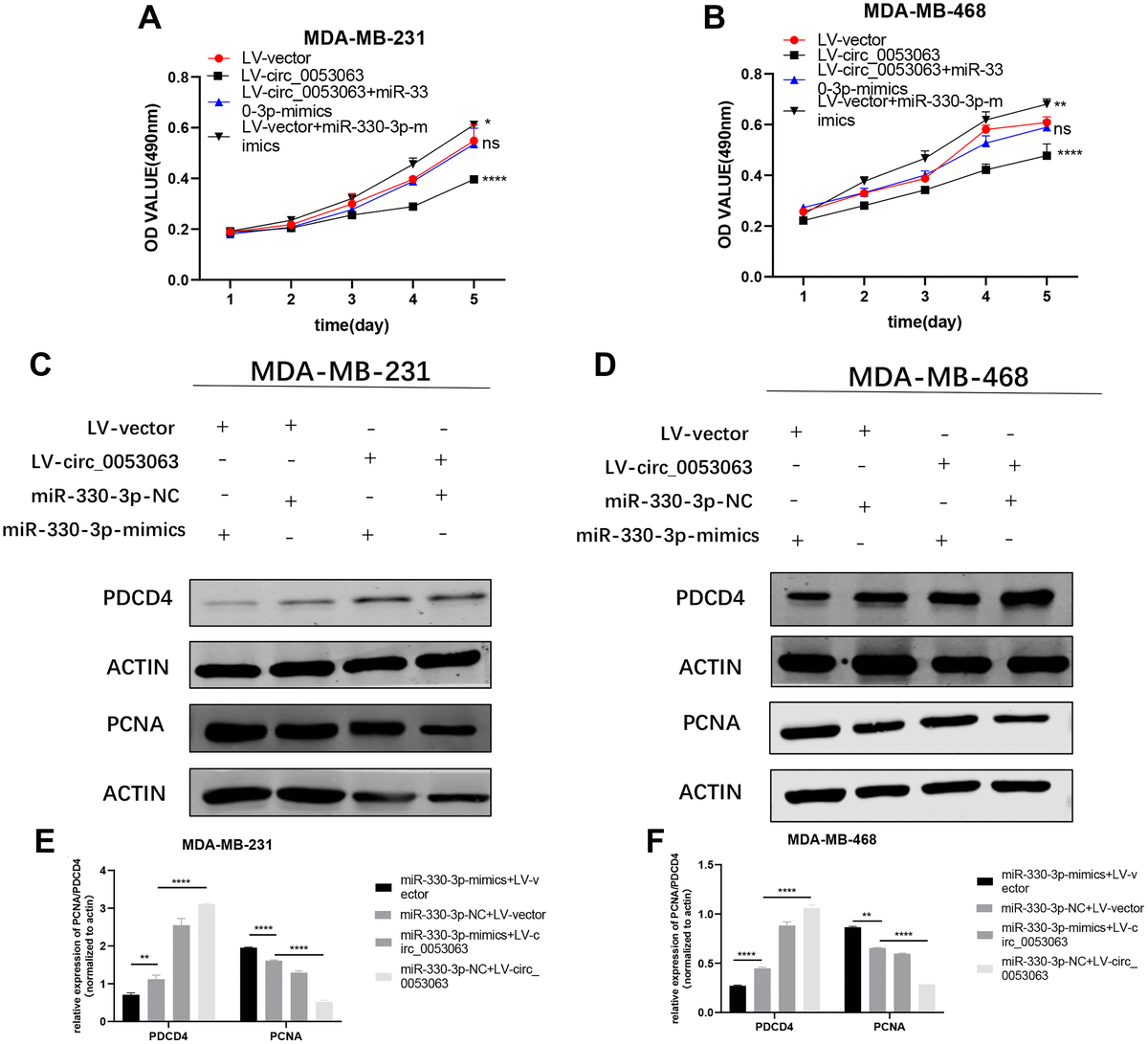 Hsa Circ 0053063 Inhibits Breast Cancer Cell Proliferation Via Hsa Circ