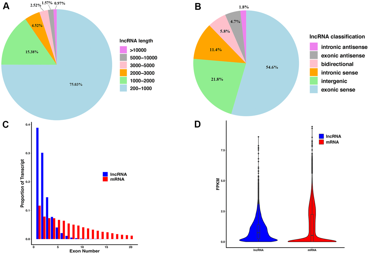 Integrated Analysis Of Long Noncoding Rnas And Mrna Expression Profiles