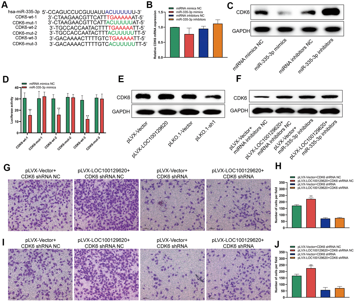 LncRNA LOC100129620 Promotes Osteosarcoma Progression Through