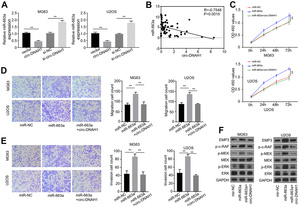 A Novel Circular Rna Dnah Inhibits Osteosarcoma Progression By