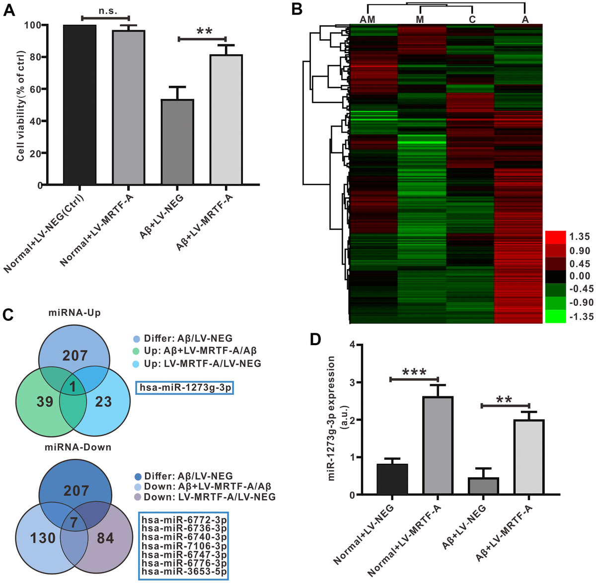 Mrtf A Mediated Protection Against Amyloid Induced Neuronal Injury