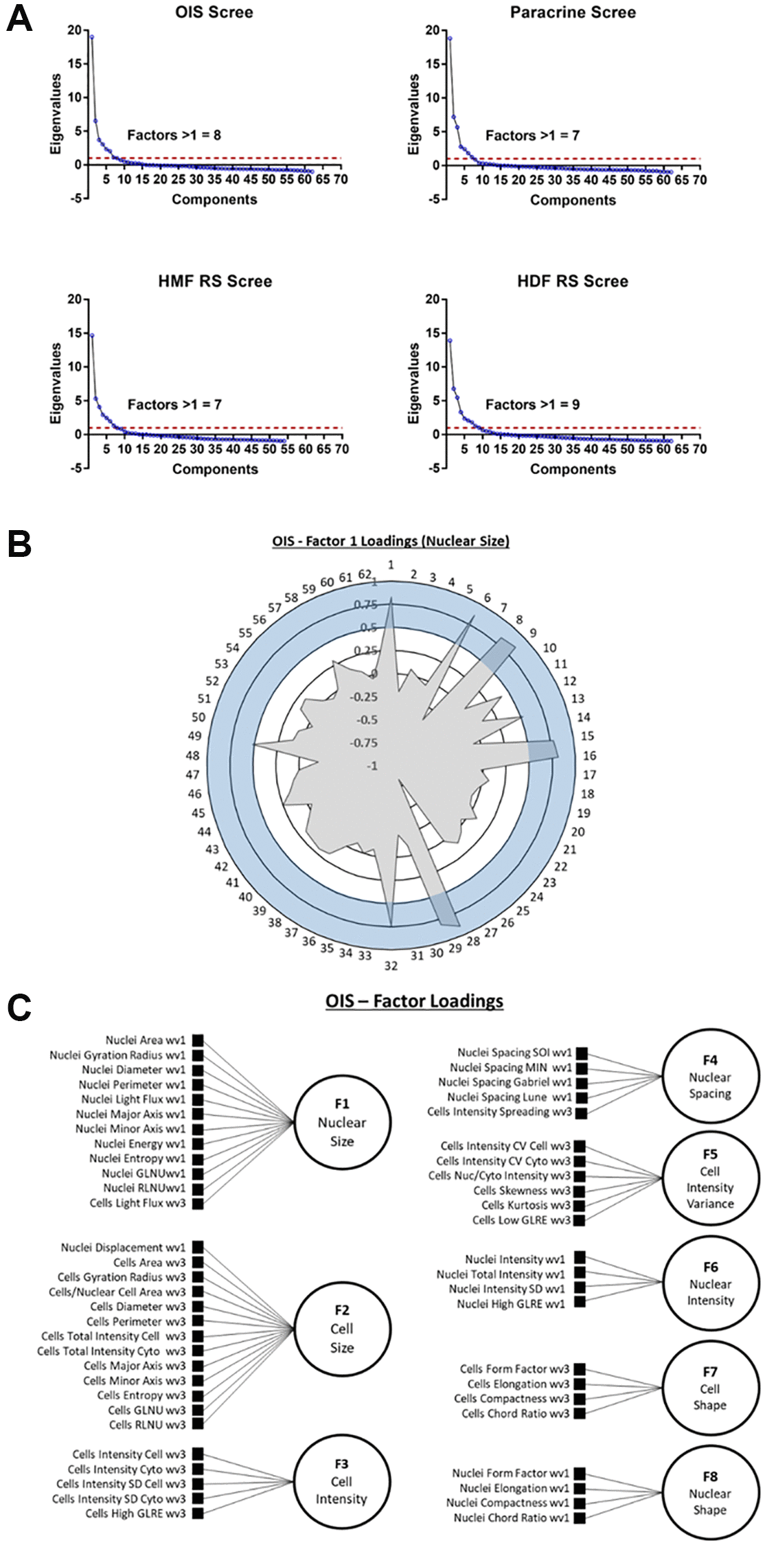 Senescence Associated Morphological Profiles SAMPs An Image Based