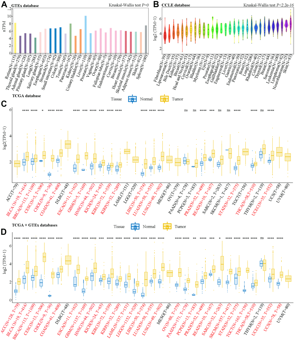 SAAL1 A Novel Oncogene Is Associated With Prognosis And Immunotherapy