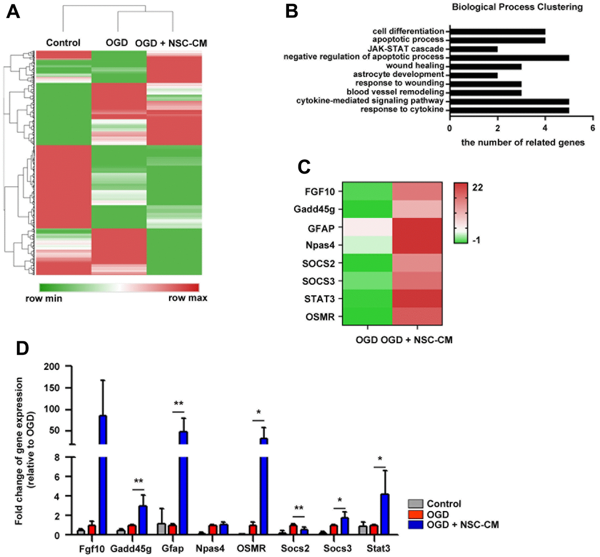 Jak Stat Pathway Mediates Neuroprotective And Pro Angiogenic