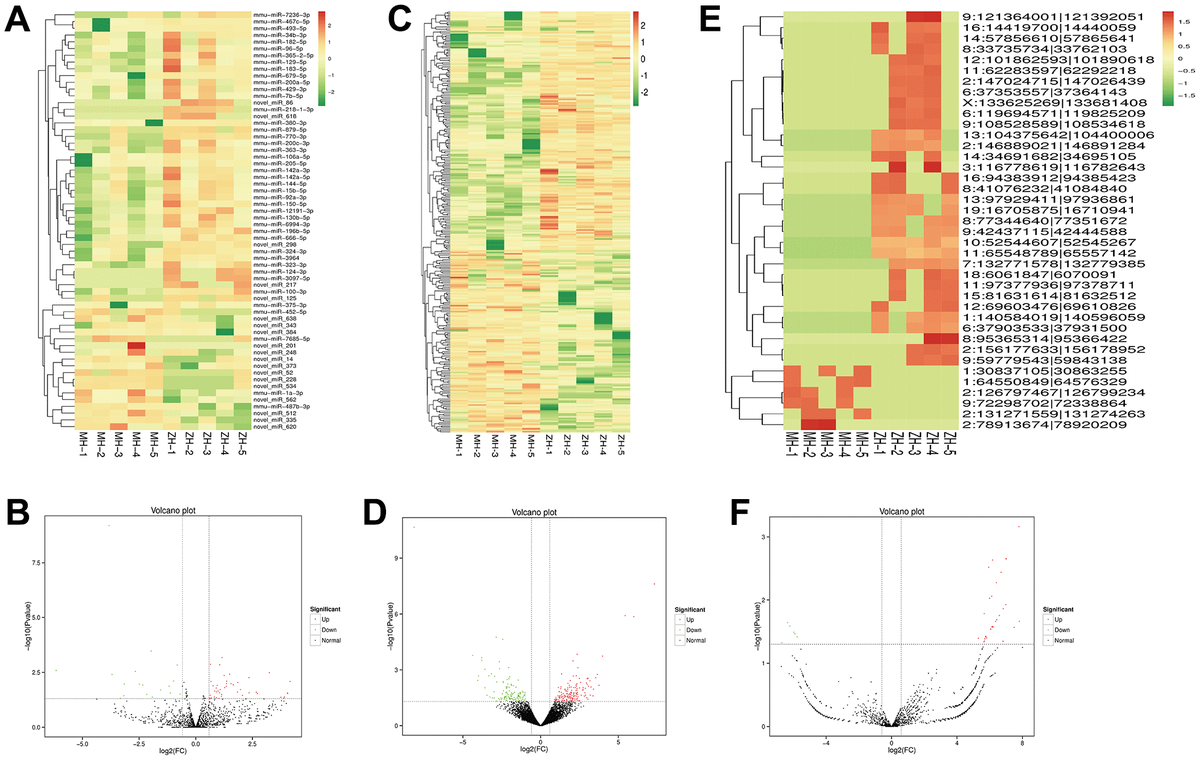 Whole Transcriptome Sequencing Analysis Reveal Mechanisms Of Yiqi