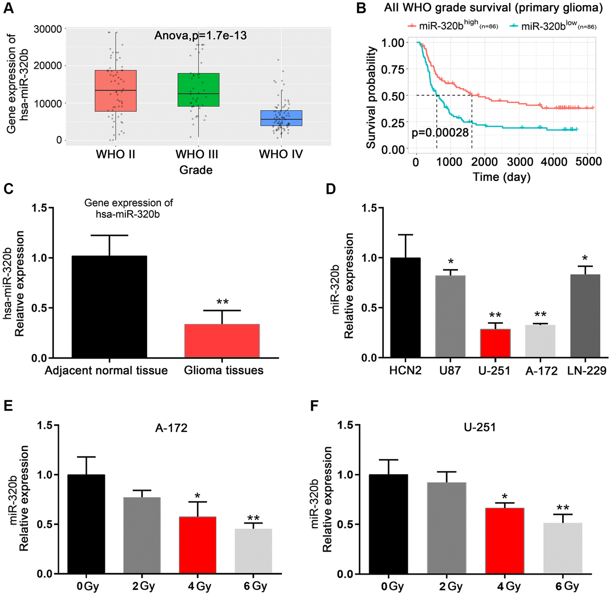 Mir B Aberrant Expression Enhances The Radioresistance Of Human