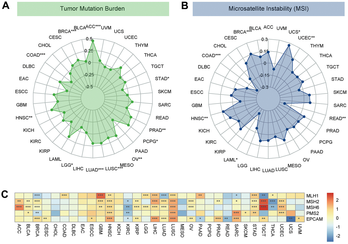 Biological And Immunological Significance Of Dll Expression In