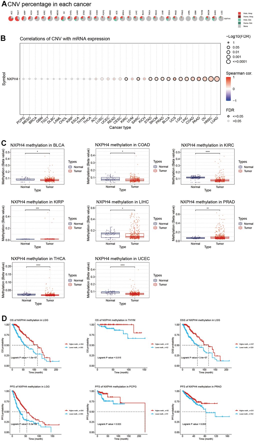 Copy number variation and methylation of NXPH4 in pan-cancer. (A) Copy number variation in NXPH4 in pan-cancer. (B) Correlation between copy number variation and mRNA expression level of NXPH4 in pan-cancer. (C) Differential methylation levels of NXPH4 between pan-cancers and corresponding paracancer tissues. (D) Relationship between NXPH4 methylation levels and prognosis in pan-cancers.