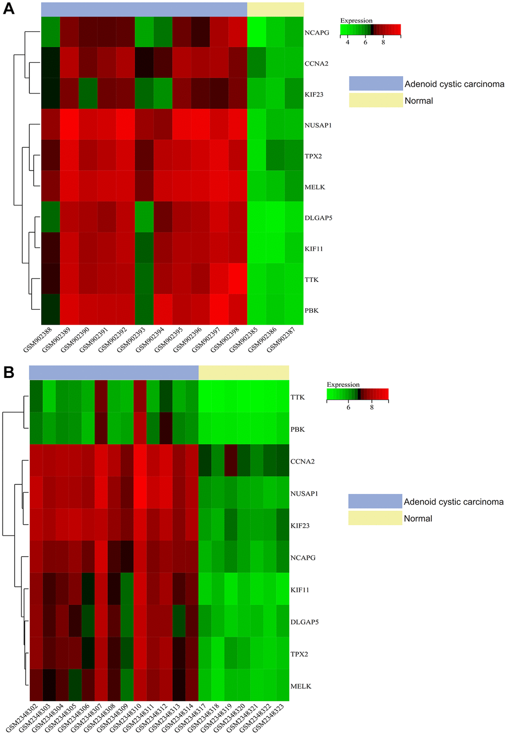 Gene expression heat map. The heat map of the expression of core genes in the samples. (A) The result of GSE36820. (B) The result of GSE88804.