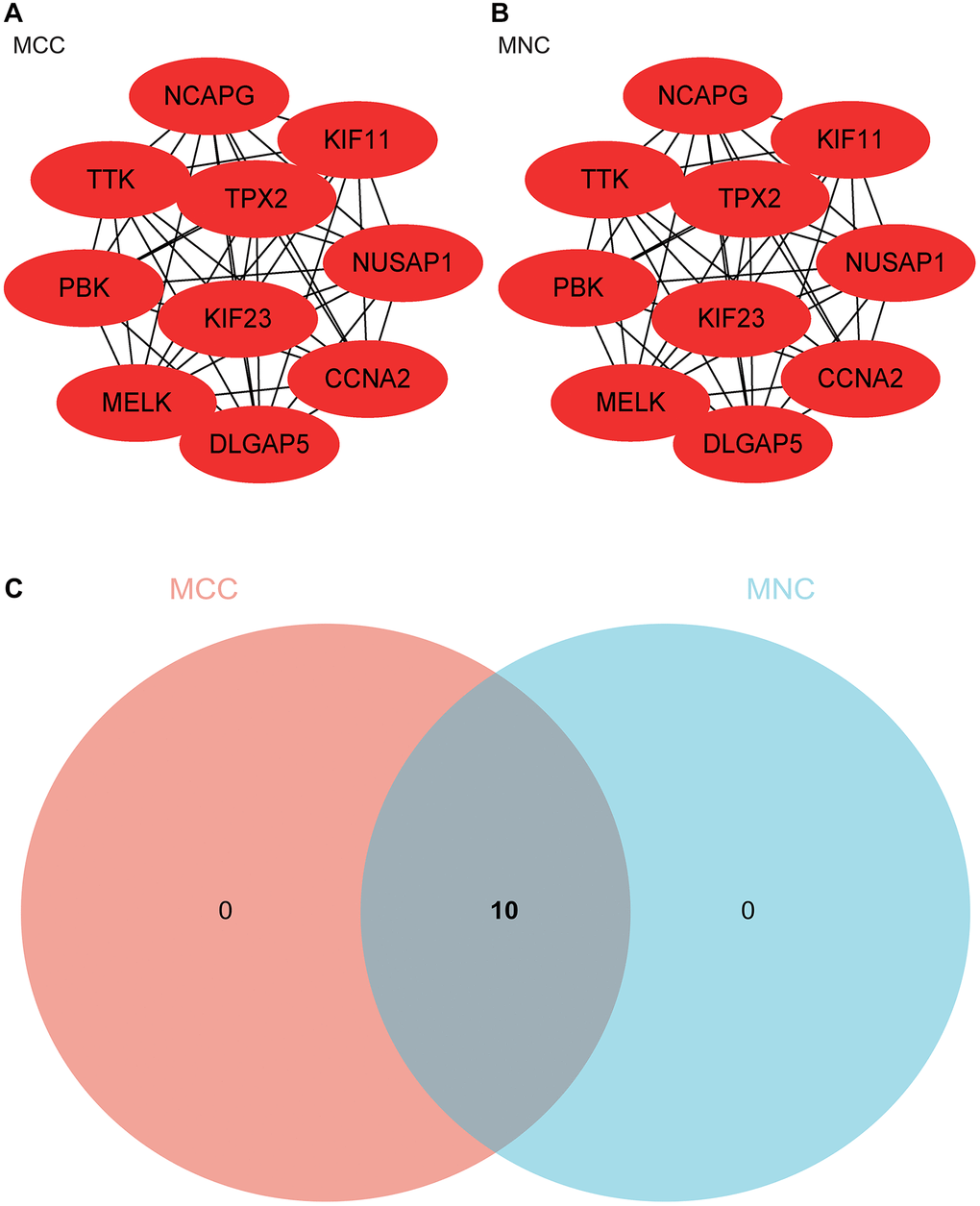 Construction and analysis of protein-protein interaction (PPI) network. (A) MCC was used to identify central genes (B) MNC was used to identify central genes. (C) Venn diagram is drawn and intersected.