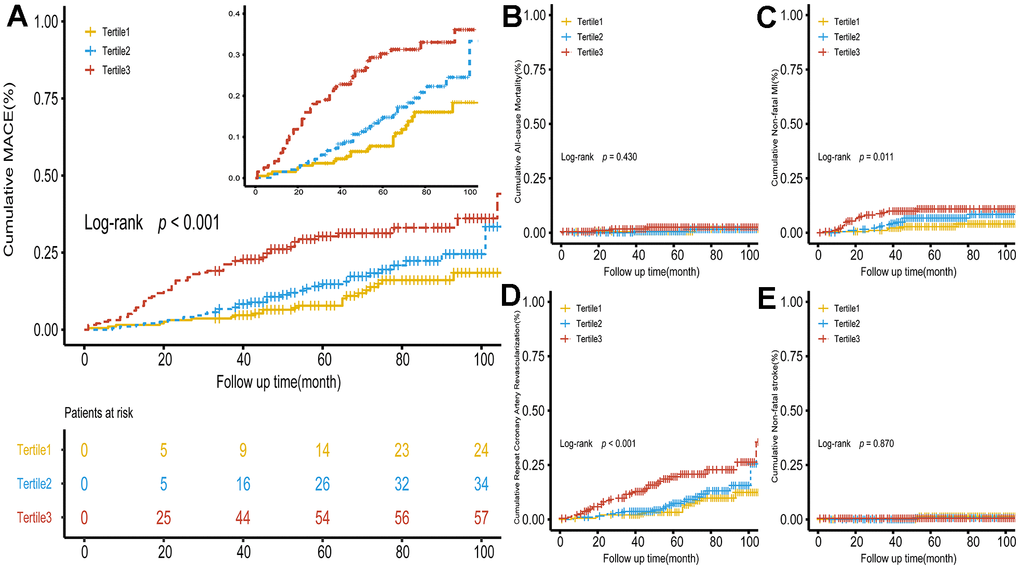 Kaplan–Meier survival curve for MACE and secondary endpoints across the METS-IR tertiles. (A) Significance was found between MACE and METS-IR tertiles. (B–E) Cumulative incidence curves for all-cause death, non-fatal infarction, repeat coronary artery revascularization and non-fatal shock, respectively. METS-IR tertiles were significantly associated with repeat coronary artery revascularization and non-fatal MI. There was no significance in all-cause death and non-fatal stroke. METS-IR, metabolic score for insulin resistance; MACE, major adverse cardiovascular events.