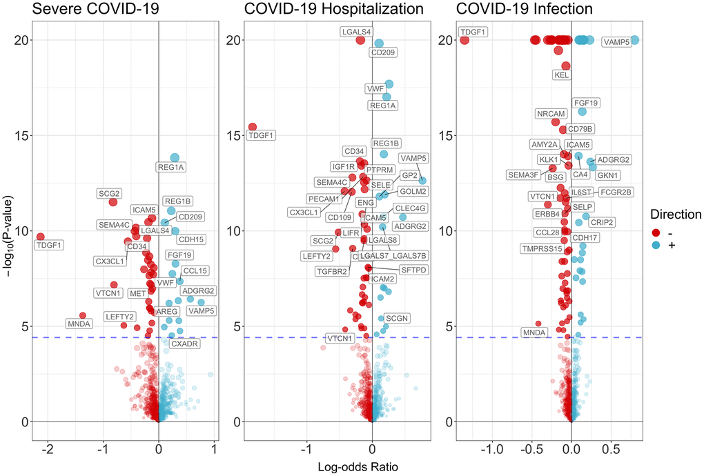 Volcano plot on the associations of proteins with severe COVID-19, COVID-19 hospitalization and SARS-COV2 infection.