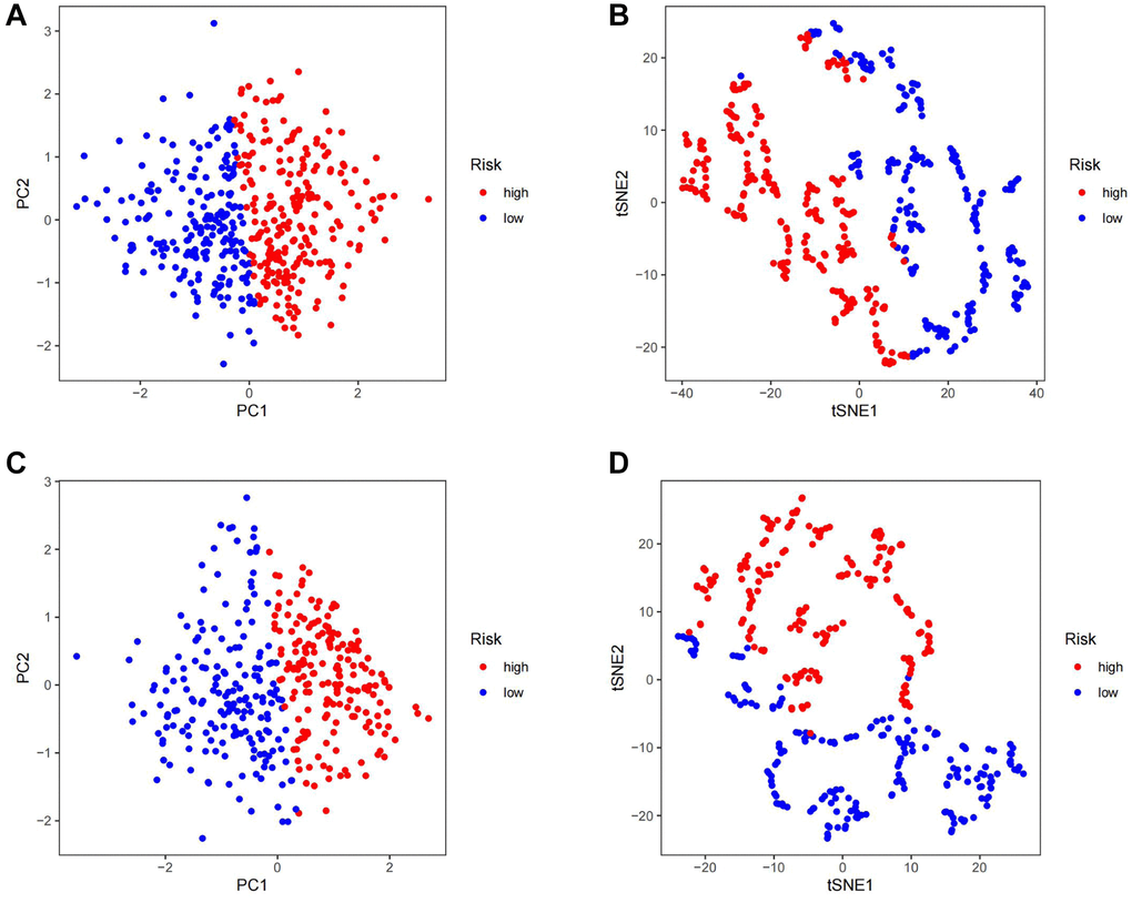 Assess the ability of TSRS to differentiate patients in high and low TSRS group. (A) PCA assessed the ability of TSRS to differentiate between high and low TSRS groups of patients in the TCGA cohorts. (B) tSNE assessed the ability of TSRS to differentiate between high and low TSRS groups of patients in the TCGA cohorts. (C) PCA assessed the ability of TSRS to differentiate between high and low TSRS groups of patients in the GEO cohorts. (D) tSNE assessed the ability of TSRS to differentiate between high and low TSRS groups of patients in the GEO cohorts.