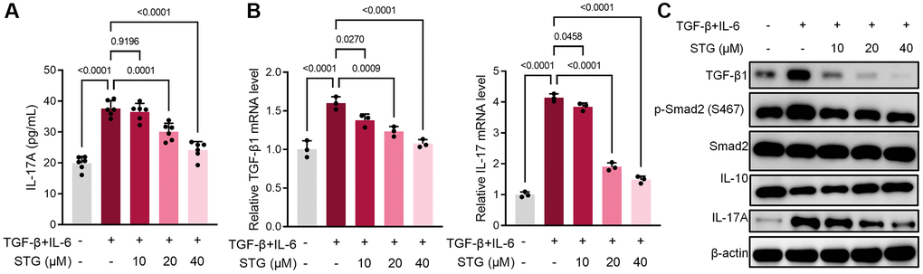 Effect of stigmasterol on CD4+ T cell differentiation. (A) Expression levels of IL-17A in CD4+ T cell supernatants. (B) Expression level of TGF-β1 and IL-17A gene in CD4+ T cells. (C) Differential expression of TGF-β1, p-Smad2 and IL-17A proteins in CD4+ T cells. p 