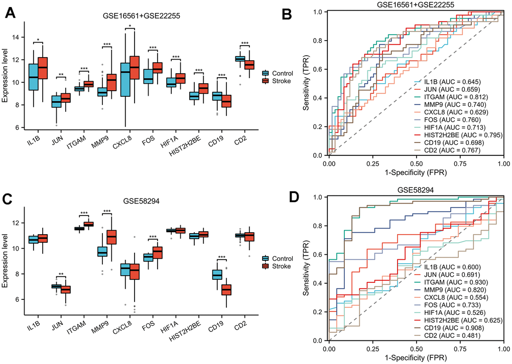 ROC analysis. In both GSE16561+GSE22255 (A) and GSE58294 (C) datasets, box plots were used to illustrate the expression patterns of hub genes between IS and normal samples. To determine the diagnostic performance of hub genes, we conducted ROC analysis for the GSE16561+GSE22255 (B) and GSE58294 (D) datasets. ROC, receiver operating characteristic; AUC, area under curve; FPR, false positive rate; TPR, true positive rate.