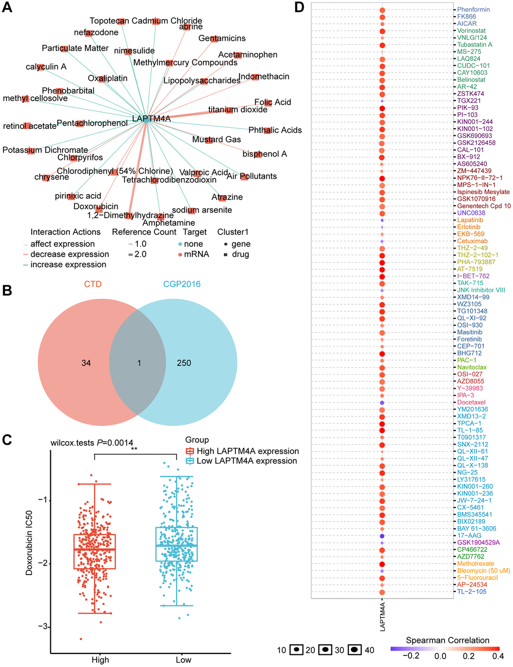 Prediction of LAPTM4A expression-related drugs. (A) An advanced network diagram shows 37 cancer-related drugs that can modulate LAPTM4A expression. (B) A Venn diagram demonstrates drugs related to LAPTM4A expression in CTD and cgp2016. (C) Relationship between LAPTM4A expression and IC50 of doxorubicin. (D) LAPTM4A is resistant to 73 drugs and sensitive to 9 drugs.