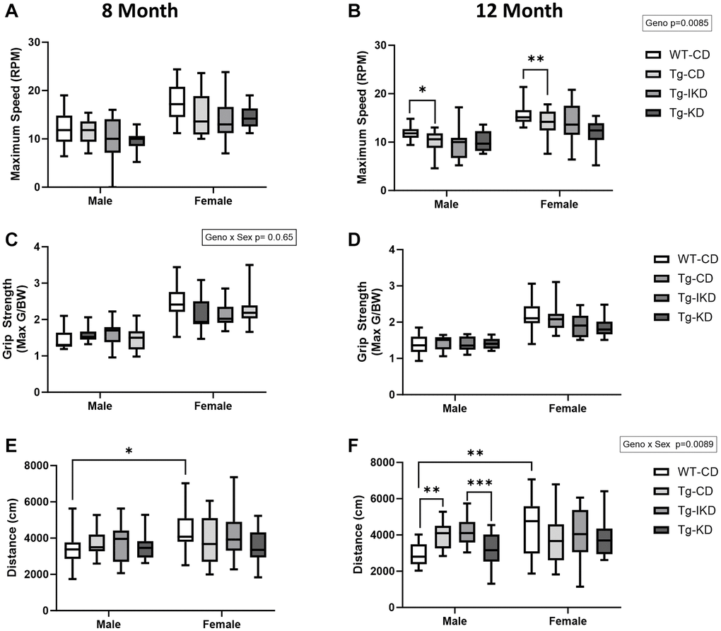 Motor coordination and muscle strength in TgF344-AD rats fed IKD and KD diet. Rotarod maximum speed (A, B, n = 9–14/group), grip strength (C, D, n = 13–15/group), and total distance traveled in open field (E, F, n = 13–15/group) were assessed in wild type (WT) and Tg433-AD (Tg) rats. Rats were assessed at 8 (A, C, and E) or 12 (B, D, and F) months of age and data were analyzed by two-way ANOVA followed with the Tukey’s post-hoc pairwise comparisons. *p **p ***p ****p p 