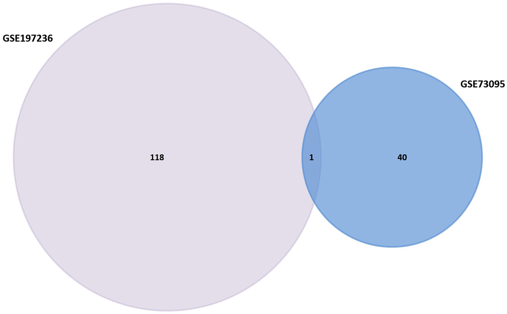 Venn diagram of GSE158662 and GSE194261.