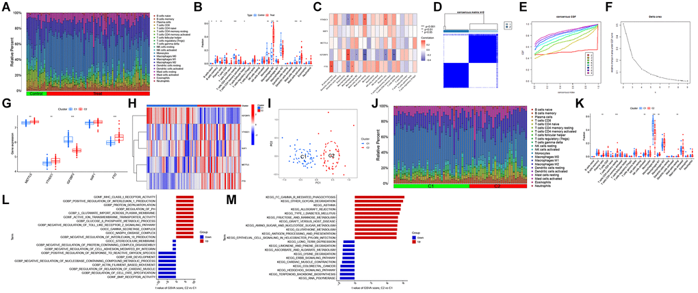 Identification of N6-methyladenosine (m6A)-related molecular clusters in atherosclerosis (AS). (A) The relative abundances of 22 infiltrating immune cells between AS and non-AS controls. (B) Boxplots showing the differential immune cell infiltration levels between AS and non-AS controls. (C) Correlation analysis between five m6A regulators and infiltrating immune cells. (D) Consensus clustering matrix when k = 2. (E) The cumulative distribution function (CDF) curve. (F) The relative change in area under the CDF curve for k = 2–9. (G, H) The differential expression levels of five m6A regulators between two m6A clusters. (I) Principal component analysis (PCA) of cluster 1 and cluster 2. (J) Boxplots showing the differential immune cell infiltration levels between AS and non-AS controls. (K) Differential immune cell infiltration levels between cluster 1 and cluster 2. (L) Differentially enriched biological functions between cluster 1 and cluster 2 were ranked based on the t-value obtained using gene set variation analysis (GSVA). (M) Differentially enriched Kyoto Encyclopedia of Genes and Genomes (KEGG) pathways between cluster 1 and cluster 2 were ranked based on the t-value obtained using GSVA. *p **p ***p ****p 