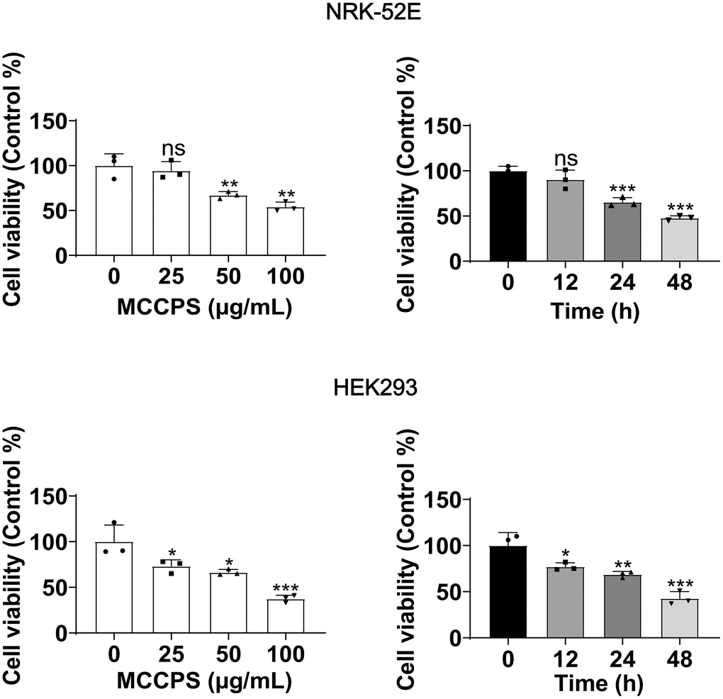 Effect of MCCPs on renal cell viability. The effect of MCCPs on the proliferative capacity of kidney cells was detected by CCK8. p 