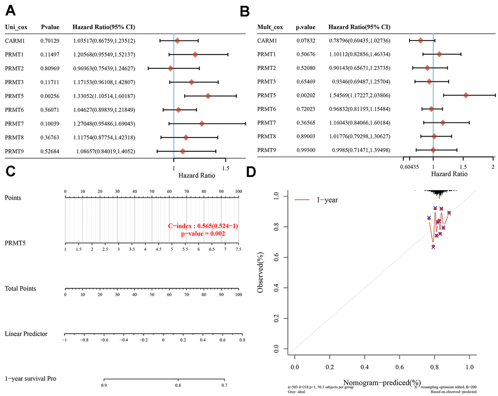 PRMT expression correlates with the prognosis of patients with HNSC. (A, B) Univariate and multivariate Cox regression analyses of the relationship between PRMT family and prognosis of HNSC. (C, D) Nomogram predicts 1-year overall survival for HNSC patient.