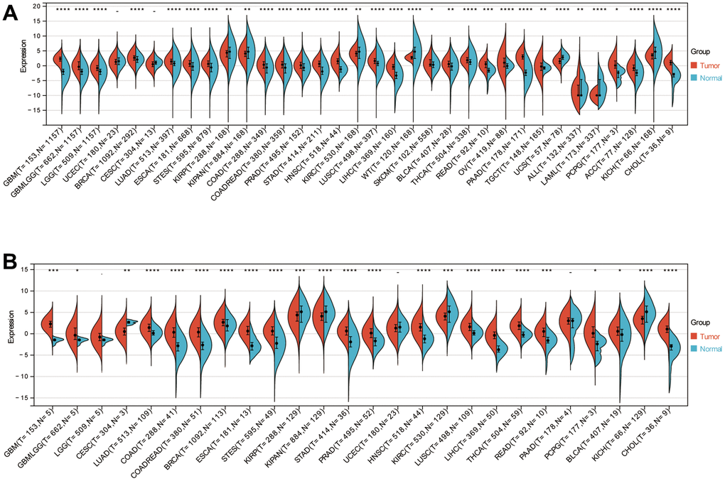 NOX4 expression in cancers. (A) The bar plot illustrates NOX4 mRNA expressions in various normal human tissues sourced from the TCGA and GTEx databases. (B) NOX4 mRNA expression levels in diverse cancer types based on TCGA databases; (*P 